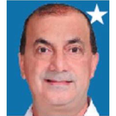 Imagen del Diputado