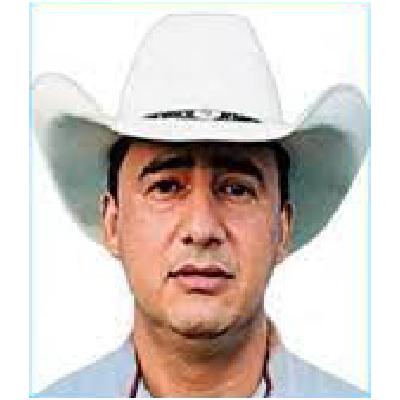 Imagen del Diputado