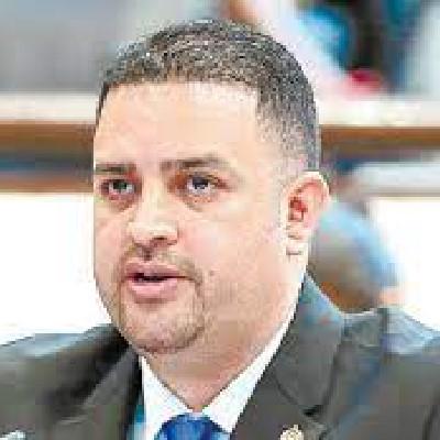 Imagen del Diputado