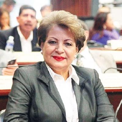 Imagen del Diputado
