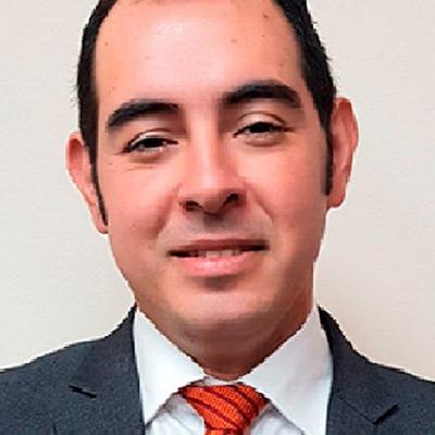 Imagen del Diputado
