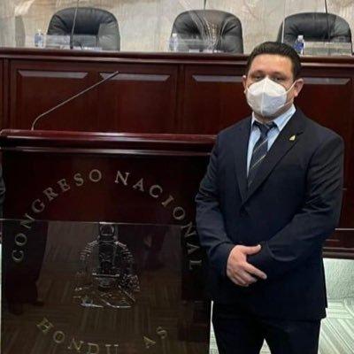 Imagen del Diputado