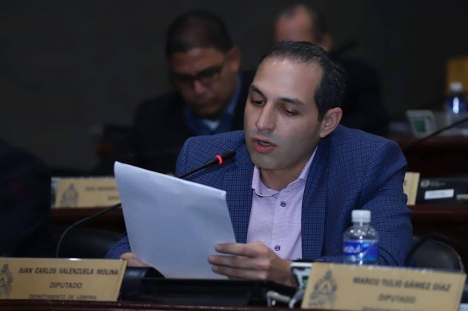 Imagen del Diputado